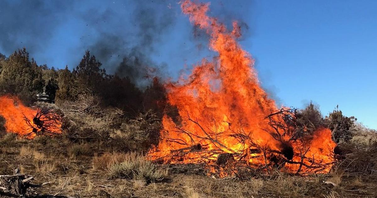 BLM plans prescribed burns in NE California, NW Nevada, to prevent